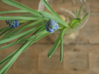 �t���[��