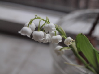 �t���[��