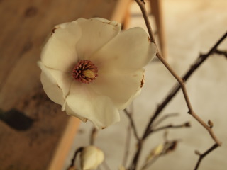 �t���[��