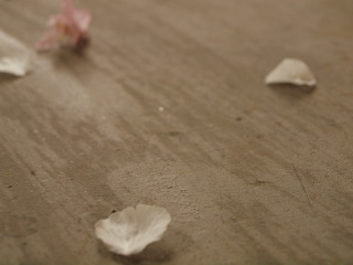 �t���[��