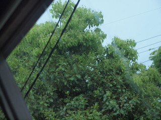 �t���[��