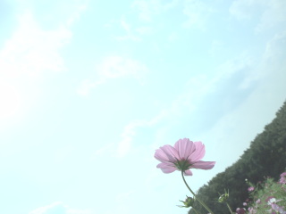 �t���[��