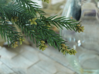 �t���[��